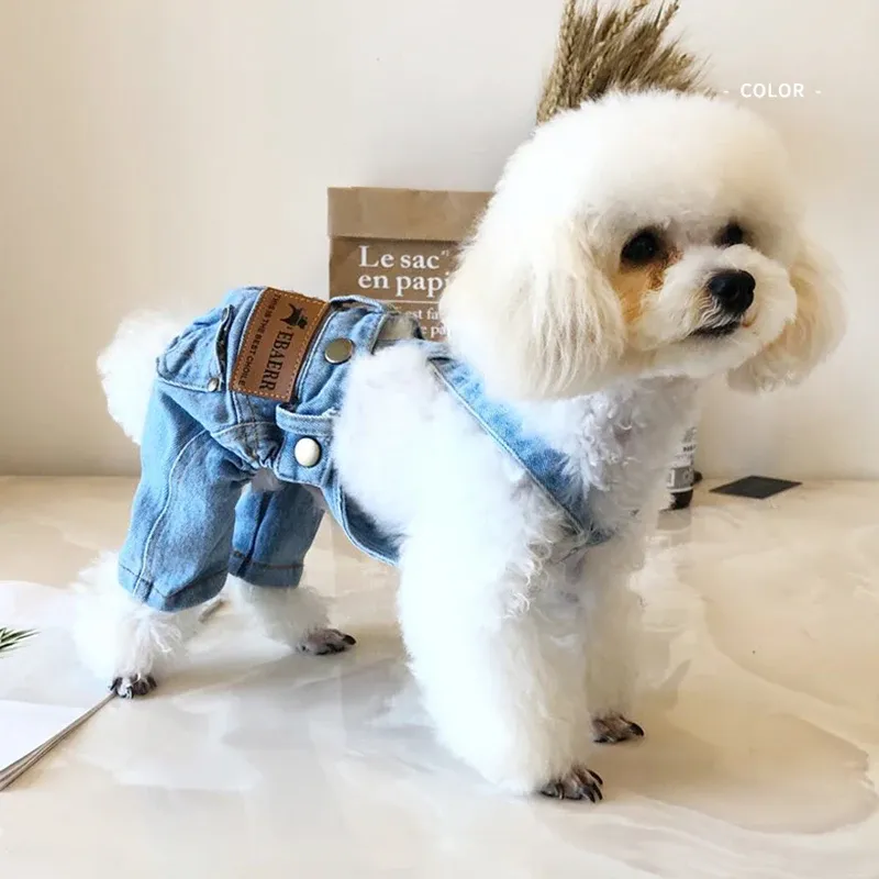 WANGMEOW Denim Suit For Dogs By PawParty Store_voghion.com