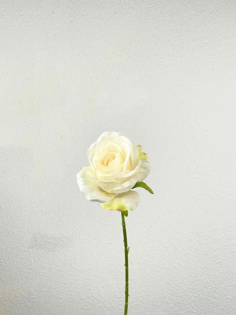 Fleurs artificielles et séchées couleur champagne pour plafond de salle de cérémonie de mariage, guide routier, décoration d'hôtel_voghion.com