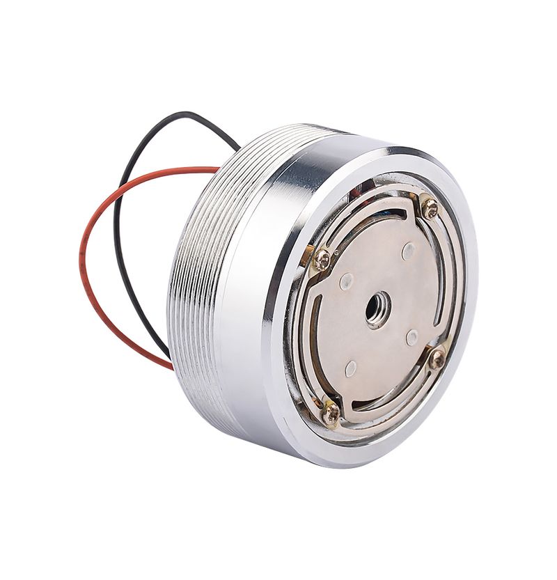 AIYIMA 25/20/15W Audio Speaker 40/44/50MM Full Range Loudspeaker Resonance Sound Exciter Super Bass Neodymium Portable_voghion.com