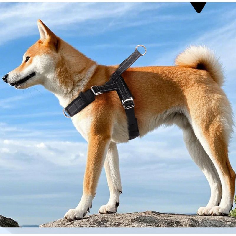 New Dog One Size Universal Quick Release T-Shape Chest Harness Pet Leash Puppy Explosion-Proof Summer_voghion.com