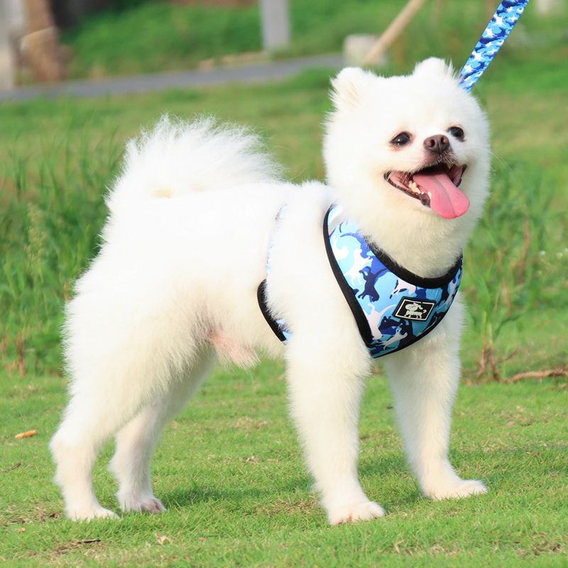 Novo conjunto de peitoral estilo colete para animais de estimação, coleira para cães de passeio de pequeno e médio porte_voghion.com