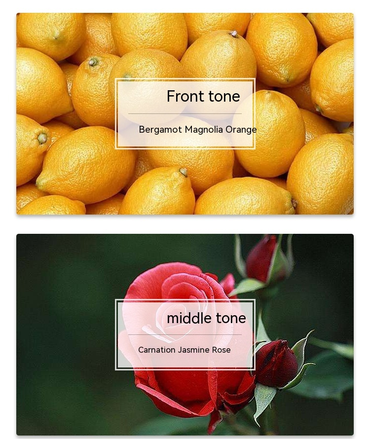 Original design new niche Fifth Avenue Women's Perfume Student fresh and natural lasting fragrance 30ml_voghion.com