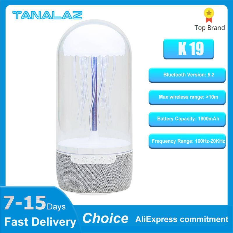 TANALAZ K19 Haut-parleur portable sans fil Bluetooth 5.2 Subwoofer surround 3D Lecteur de musique Système audio Home Cinéma_voghion.com