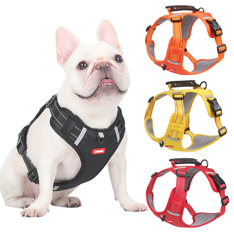 Pettorina per cani di piccola e grande taglia, con guinzaglio di sicurezza regolabile, imbracatura riflettente per cani, guinzaglio per passeggiate Bulldog francese_voghion.com