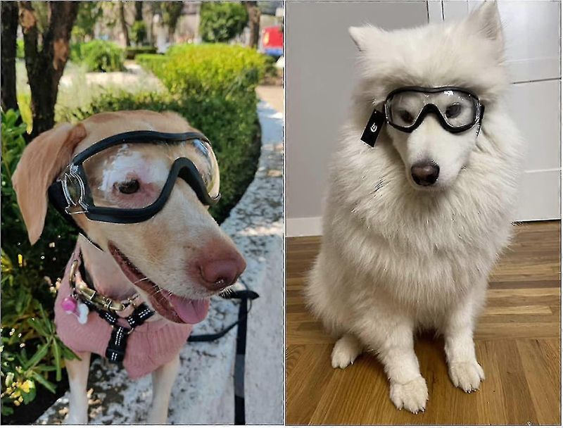 Gafas protectoras para perros de razas medianas y grandes, resistentes al viento y a los rayos UV, para exteriores, con lentes transparentes y correas ajustables para la cabeza._voghion.com