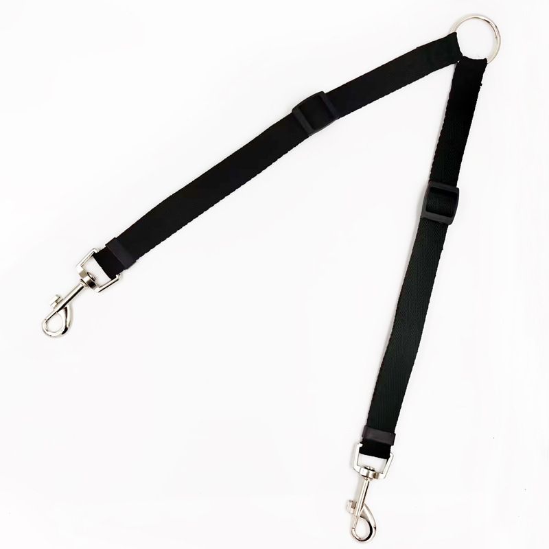 Guinzaglio per animali domestici, corda da passeggio a due punte, per cani di piccola, media e grande taglia, catena per cani Teddy Golden Retriever_voghion.com