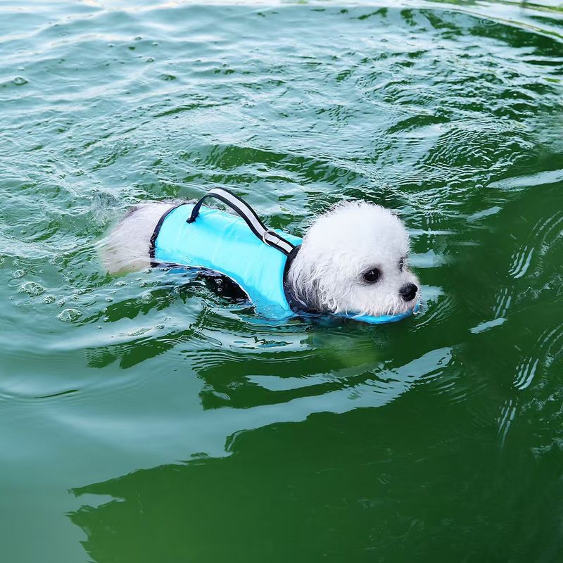 Traje de baño para mascotas, nuevo, para todas las estaciones, tipo chaleco, se puede remolcar._voghion.com