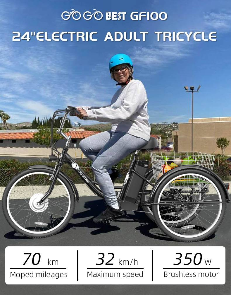 Gogobest GF100 24" Triciclo elettrico da carico 350W E-bike Batteria 36V 15Ah_voghion.com