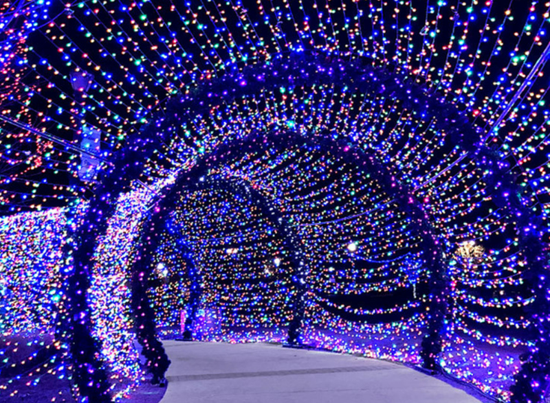 Großhandel mit Weihnachtslichterketten, LED-Farblichtern, Blinklichtern, Lichterketten, Himmelssternen und farbenfrohen dekorativen Atmosphärenlichtern für den Außenbereich_voghion.com