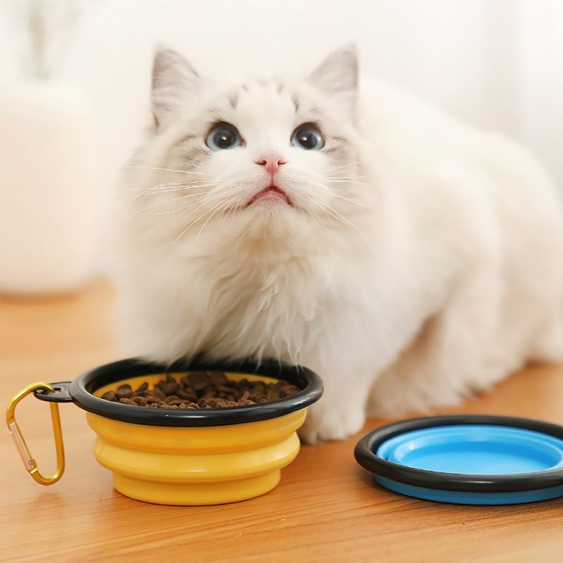 New 350ml Folding Bowl With Keychain Pet Bowl Portable Travel Dog Bowl Convenient Cat Bowl Non-deformable Folding Bowl_voghion.com