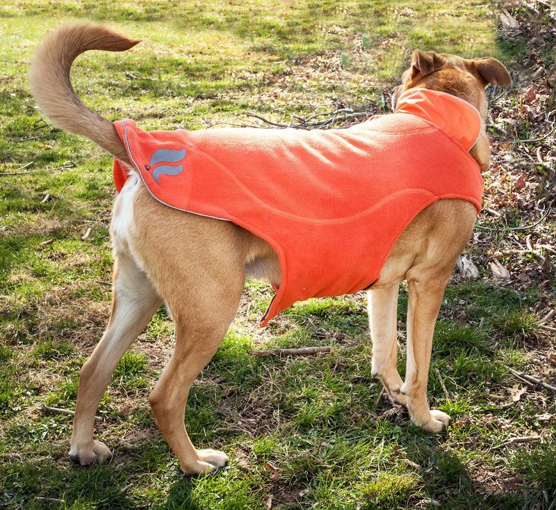 Helios Lotus-Rusher Waterproof 2-in-1 Convertible Dog Jacket w/ Blackshark technology_voghion.com