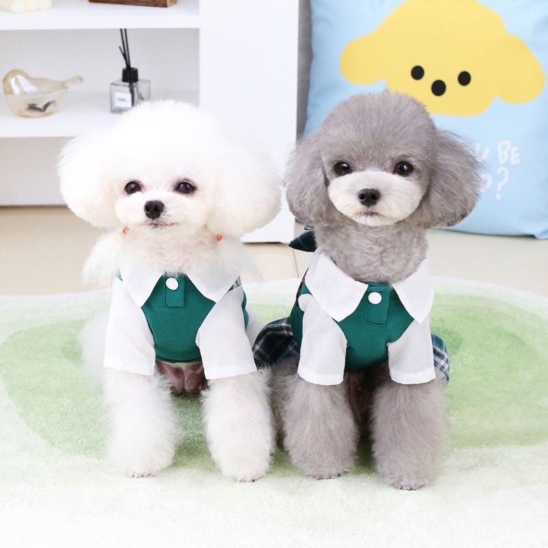Hund Frühling Sommer Neue Teddy Bichon Casual Mode Haustier Kleidung 23 College Stil Paar Set_voghion.com