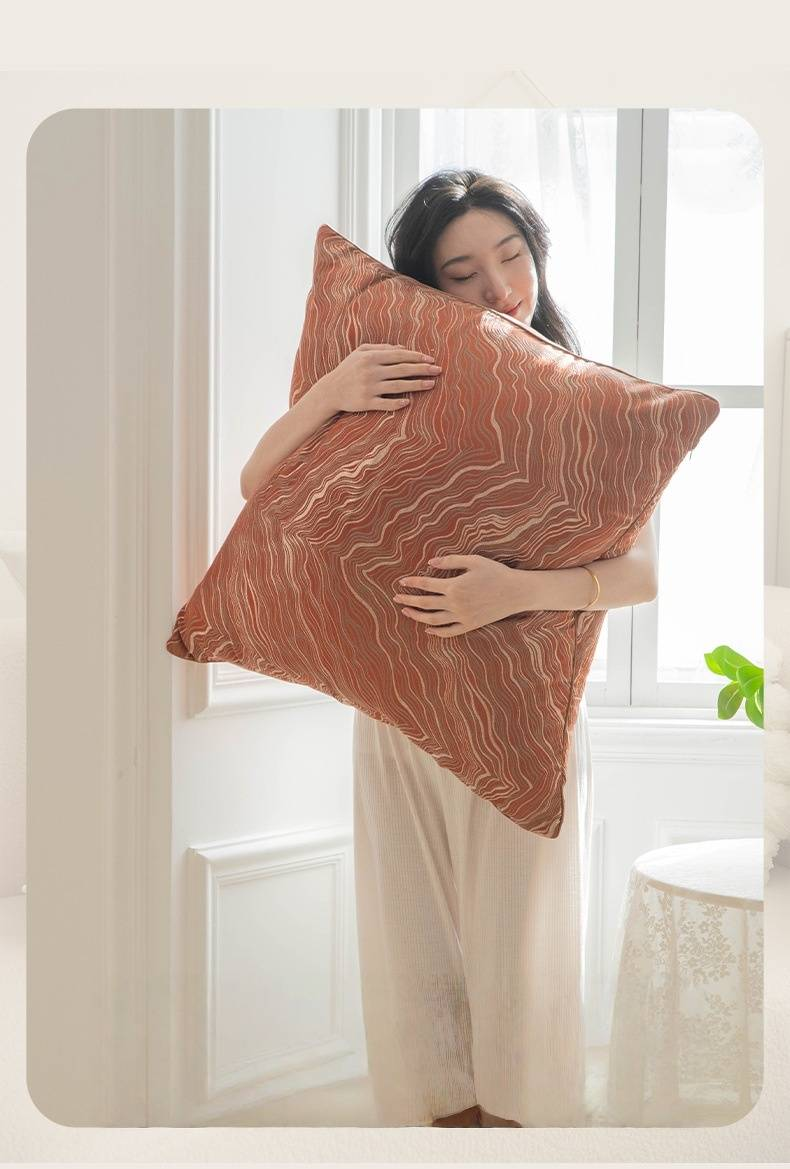 Embroidered Throw Pillow Covers Large Bay Window Hotel Model Room Cushion Covers No Insert Included Premium Fabric Stylish Sofa Backrest 24x24 Inches_voghion.com