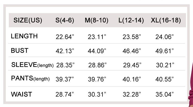 ActiveGo ActiveGo 2024 Autunno Inverno Moda Casual Sportivo Tuta Cerniera Manica Lunga Felpa Pantaloni Gamba Larga Set Due Pezzi per Donna_voghion.com