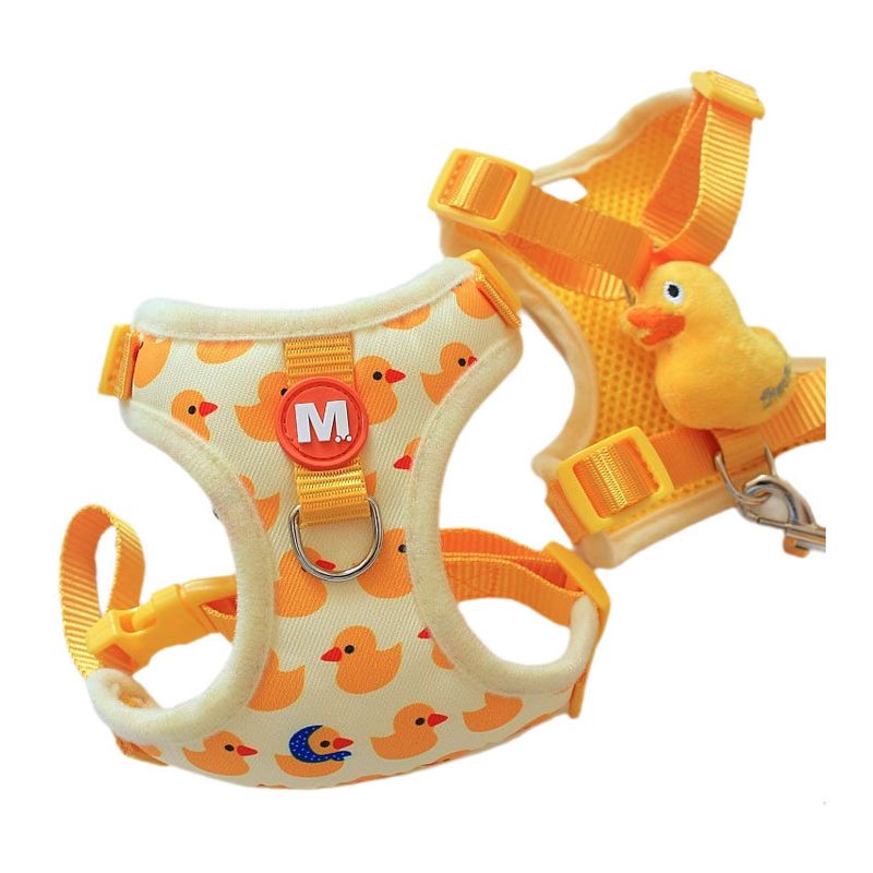 Para uso doméstico, coleira anti-fuga para cães e gatos pequenos Teddy Bichon Pet Outdoor Walking Leash_voghion.com