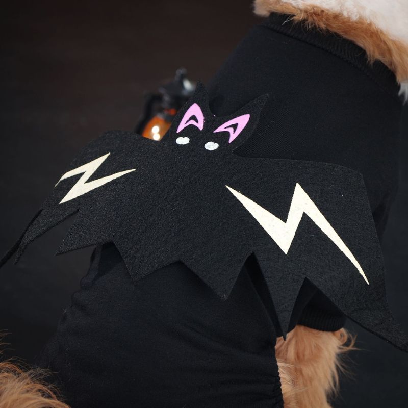 Costumi per feste di Halloween per cani e gatti, costume da pipistrello con effetto luminoso_voghion.com