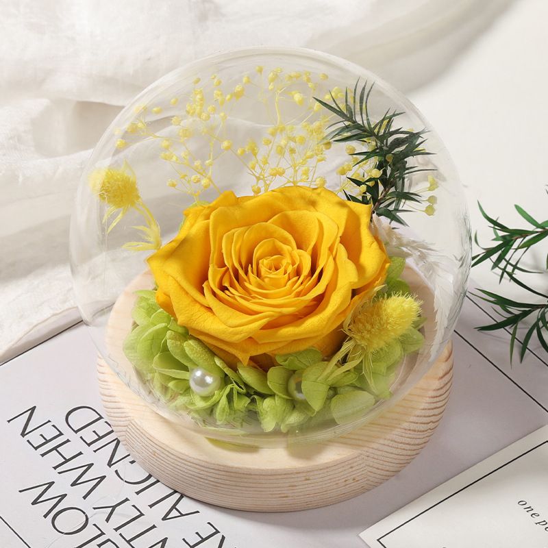 Cupola in vetro con rose stabilizzate - Rose vere di alta qualità + copertura in vetro spesso, luce LED con USB, regalo per San Valentino/Qixi/compleanno/matrimonio/laurea_voghion.com