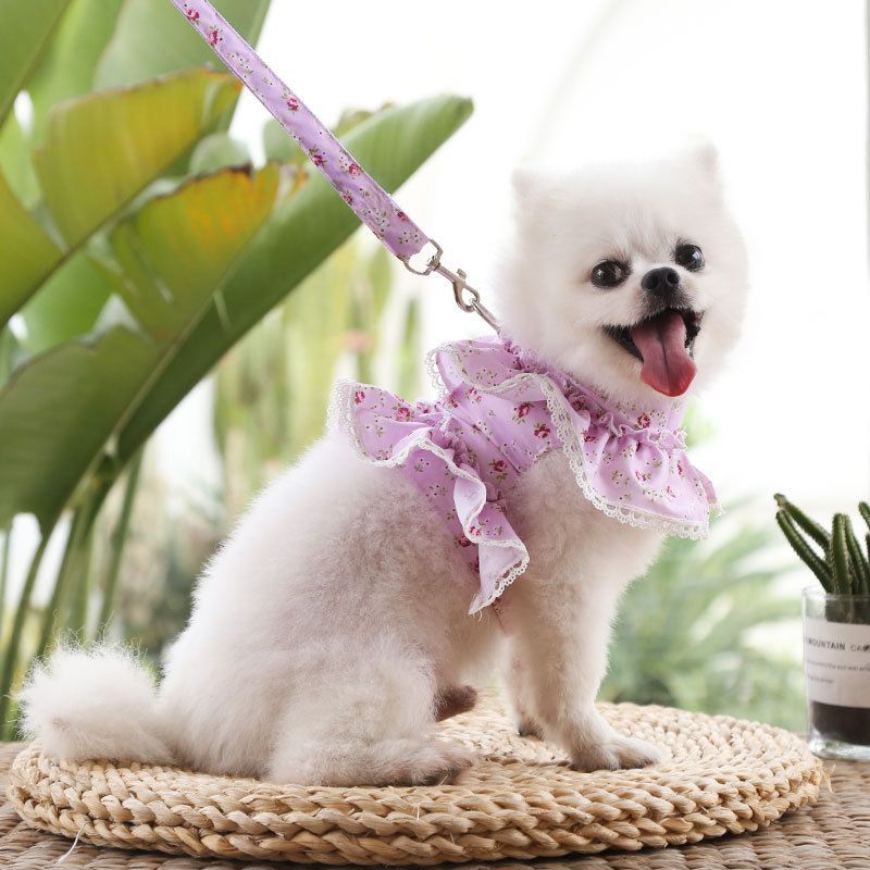Guinzaglio regolabile in rete per cani_voghion.com