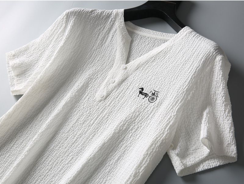 Herrenbekleidung neuer dünner lässiger Sportanzug Herren Sommer im chinesischen Stil High-End-V-Ausschnitt Stickerei schlanker Kurzarm-Zweiteiler_voghion.com