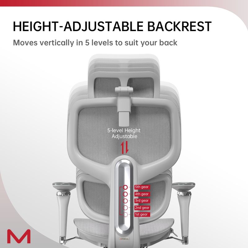 D2 Pro High Back Ergonomic Home Office Chair With DTS Self-Adaptive Lumbar Support, Multi-Adjustable Armrest, Wire Controlled Design, Footrest, 4D Headrest Mesh Office Computer Chair (Grey)_voghion.com
