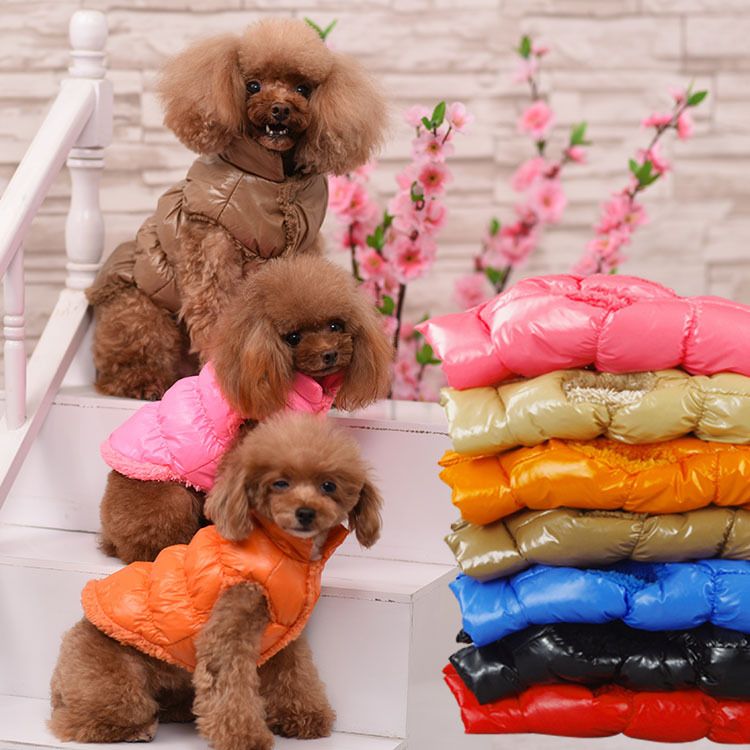 Warme Teddy-Haustierweste, verdickte Katzen-Herbst- und Winter-Hundekleidung_voghion.com