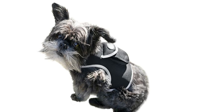 Mini Quad Band Realtime Pet GSM GPRS GPS Tracker w/ Geo-Fence Settings Size:XS_voghion.com