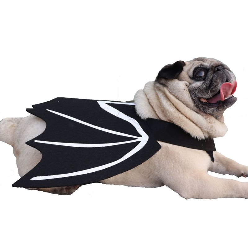 Costume di Halloween per la trasformazione di un cane o un gatto in un pipistrello, con ali creative e personalità eccentrica_voghion.com