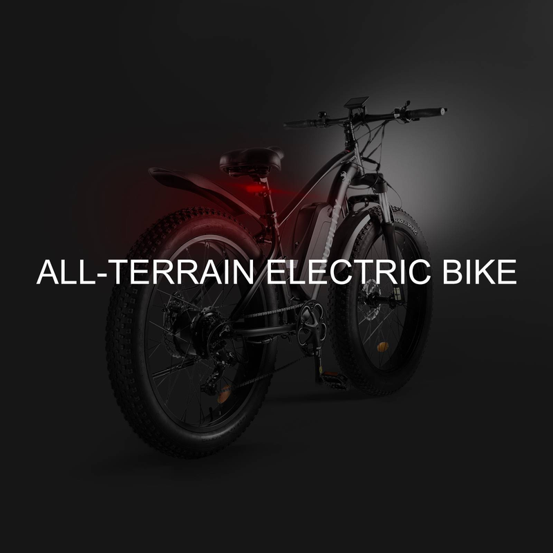 NIUBILITY B26 26" Elektro-Mountainbike, 1000-W-Motor, 48 V, 15 Ah Akku_voghion.com