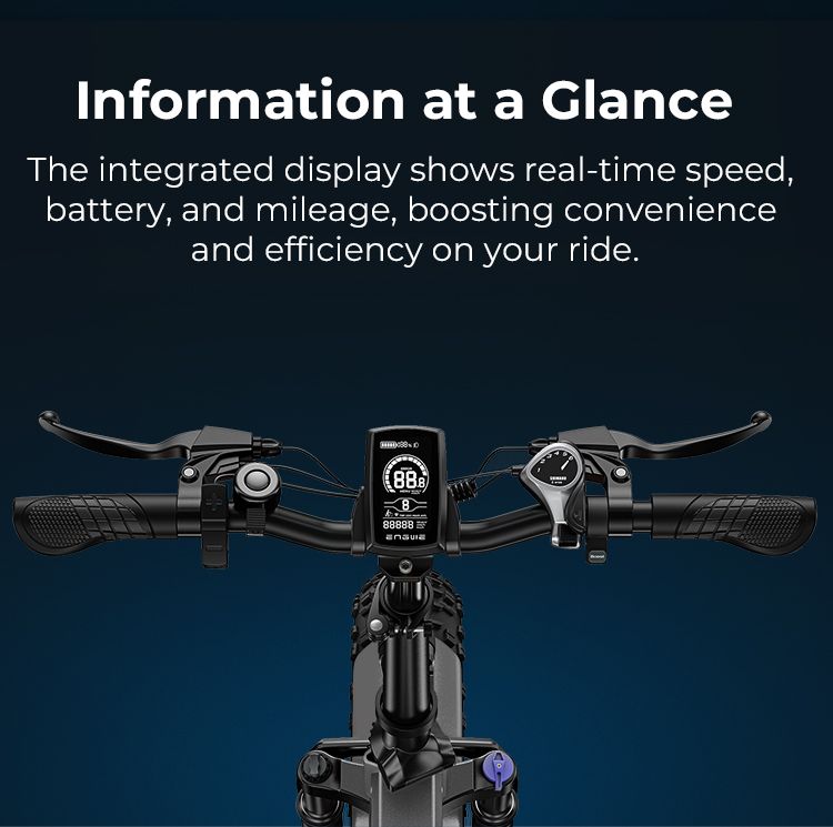 ENGWE EP-2 BOOST E-Mountain Bike 20X4.0 pollici Pneumatici per tutti i terreni Bicicletta elettrica Bicicletta elettrica pieghevole_voghion.com