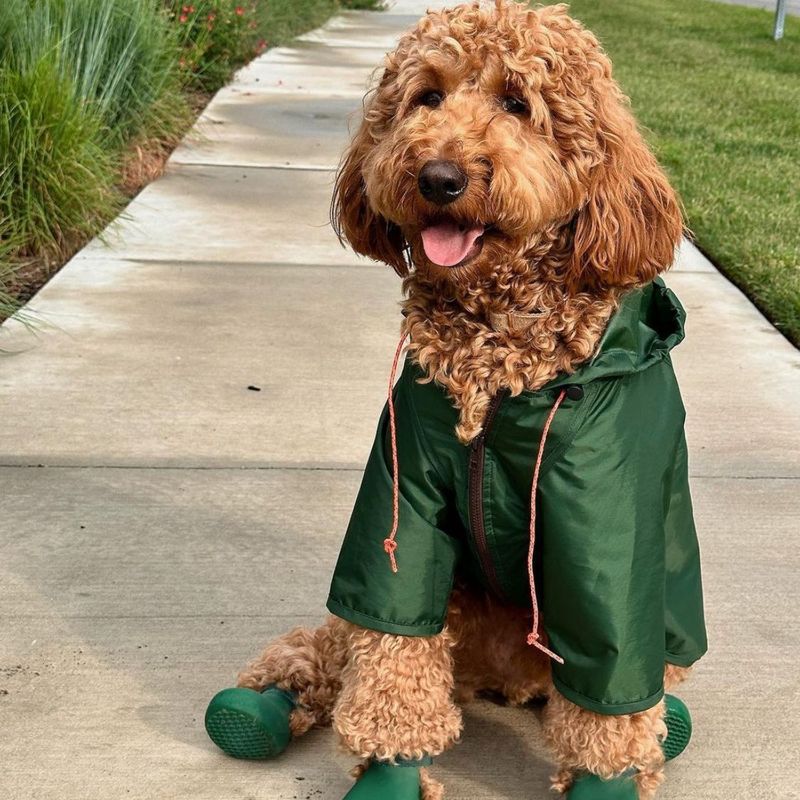 Windproof Pet Dog Water-Resistant Raincoat For Large Dogs Niche Rain Jacket Coat Windbreaker Outerwear_voghion.com