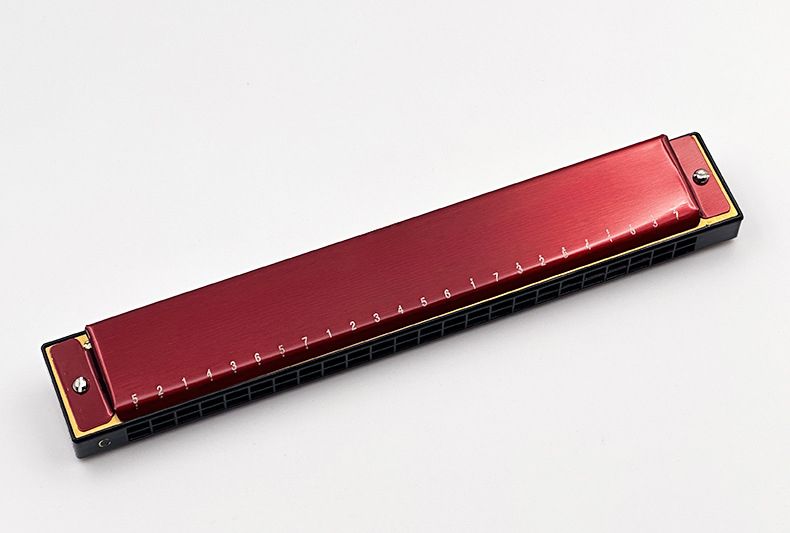 Chimei Little Doctor Children's 24 Holes Beginner Adult Student Classroom Use Entry-Level Performance C Key Polyphonic_voghion.com