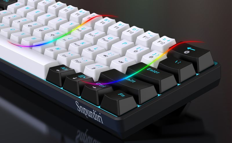 Clavier de jeu mécanique filaire Snpurdiri 60 %, 61 touches anti-ghosting, rétroéclairage LED bleu, ultra compact, deux supports (interrupteur bleu/noir, blanc, bleu glacier)_voghion.com