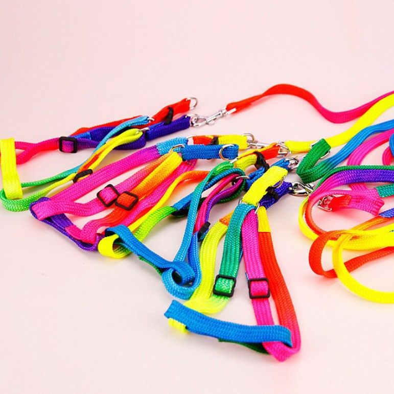 Coleira de nylon colorida para cães e gatos, peitoral de pelúcia para passear_voghion.com