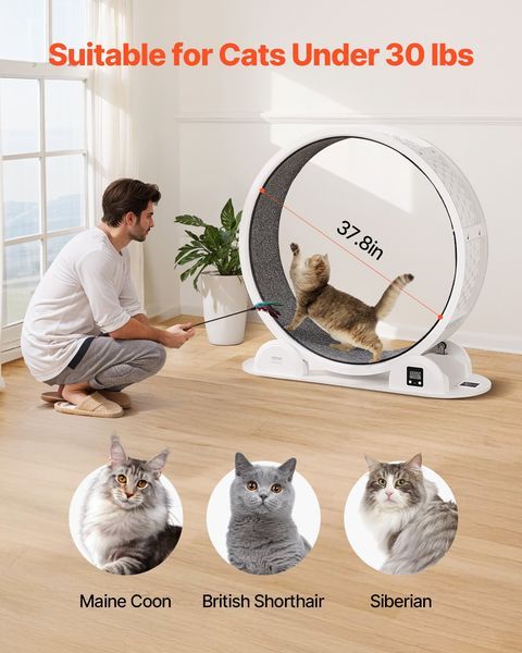 VEVOR Cat Exercise Wheel With Pedometer 40.8' Cat Treadmill For Pet Health White_voghion.com