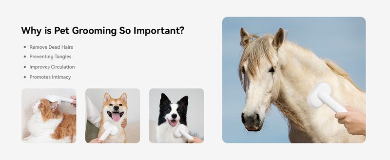 aumuca Cat Brush For Shedding, Cat Brushes For Indoor Cats, Cat Brush For Long Or Short Haired Cats_voghion.com