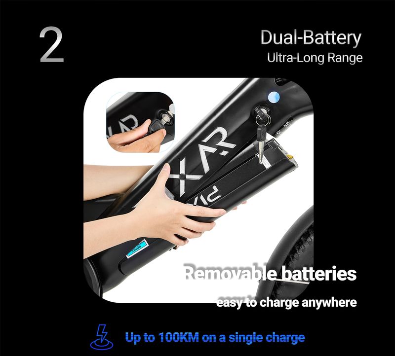 PIXAR Plus7 Longtail Elektro-Lastenfahrrad 20 Zoll 500W 48V 10AH Batterie_voghion.com