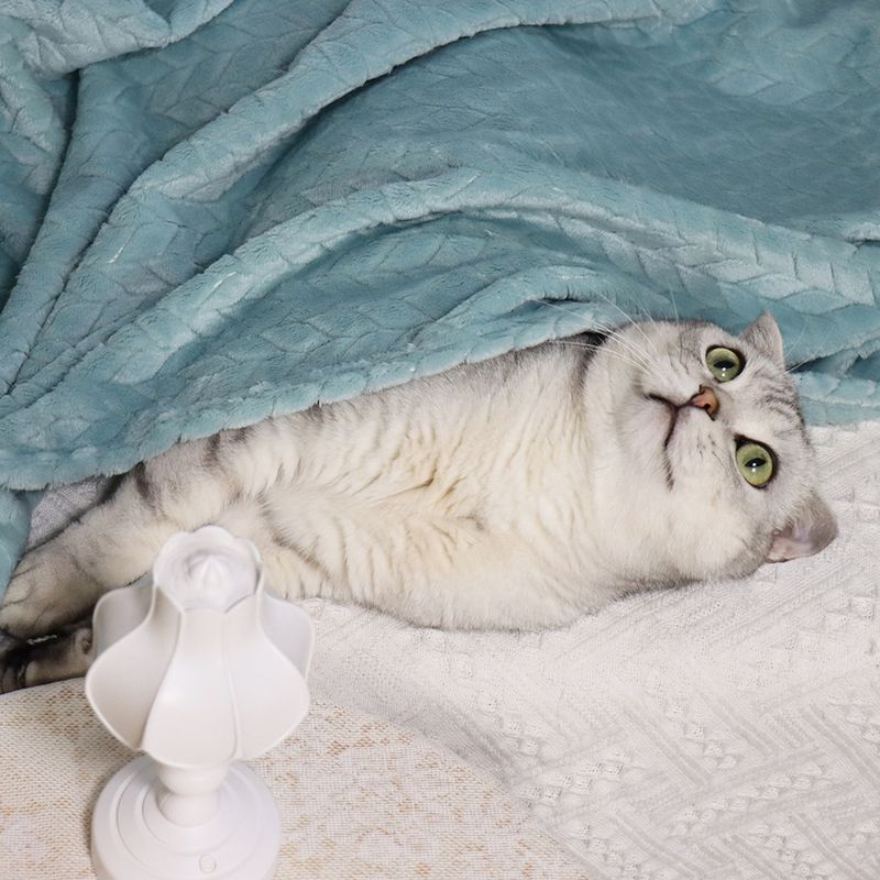 Weizenohr kleine Haustier Katze Nest Matte Hund Wärme Abdeckung Korallen Samt verdickte Decke_voghion.com