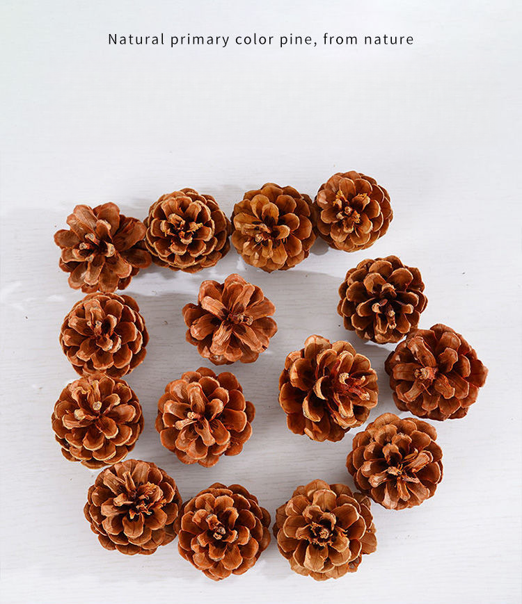 Decoration Pine Cone Acorn Flower Handmade DIY Forest Kindergarten Environmental Creation Dried Branches Wild Creative_voghion.com