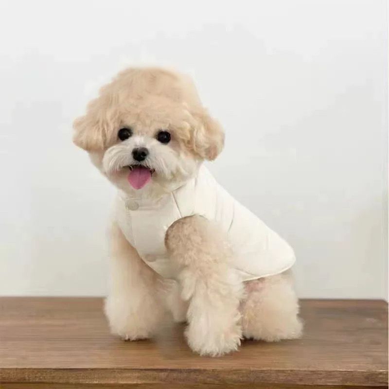 Silk Polyester Vest Pets.Warm Winter Coat For Dogs And Cats.Can Be Machine Washed.Suitable .... By PawParty Store_voghion.com