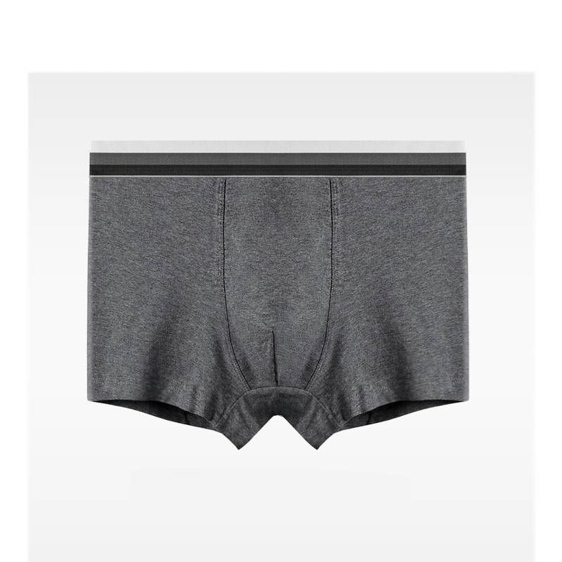 Sous-vêtements et vêtements de nuit en coton - Boxer antibactérien et respirant de classe A pour l'été, taille moyenne, grandes tailles (noir et gris)_voghion.com