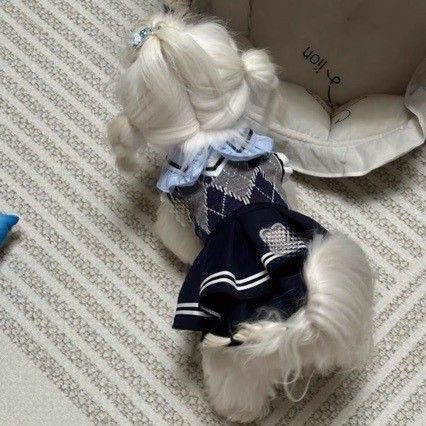 Spring Summer Pet Dog Cat Clothes Teddy Bichon New Chinese Style Plate Buckle Embroidery Leash Vest_voghion.com