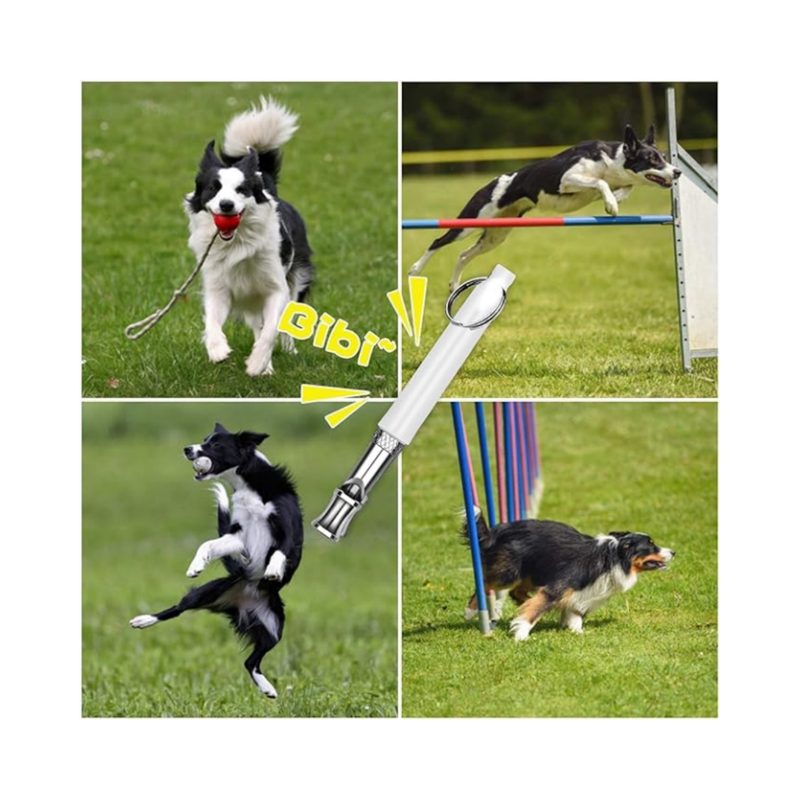 Dog Whistle To Stop Barking Neighbor Dogs, Dog Training, Adjustable Ultrasonic Silent Dog Whistle Free Lanyard_voghion.com