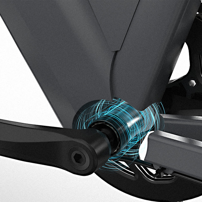Elektrofahrrad für Erwachsene JOBOBIKE Astra 250W 36V15AH Batterie_voghion.com