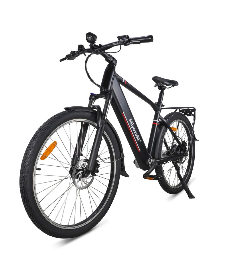 Miyazaki GC1995 Elektrofahrrad 48V 14Ah Samsung Akku 350W Motor 26 Zoll_voghion.com