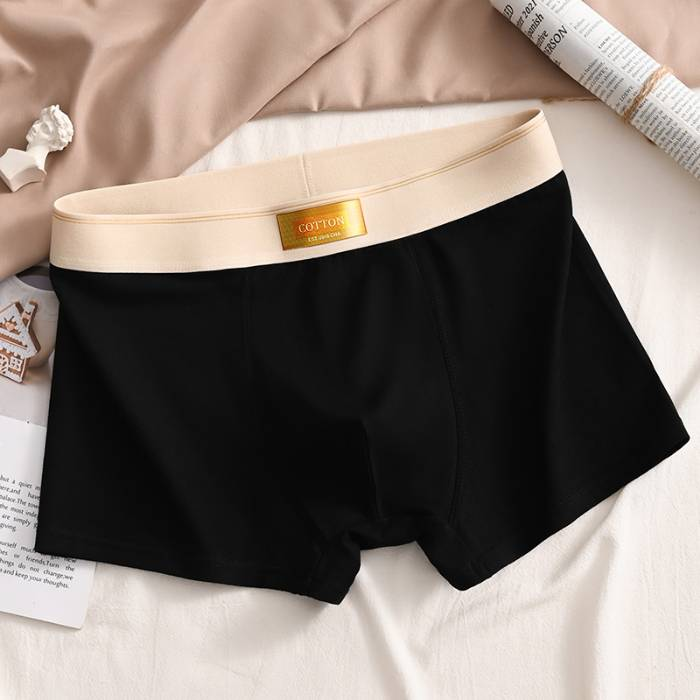 4PCS high quality men's boxer shorts summer L-6XL_voghion.com