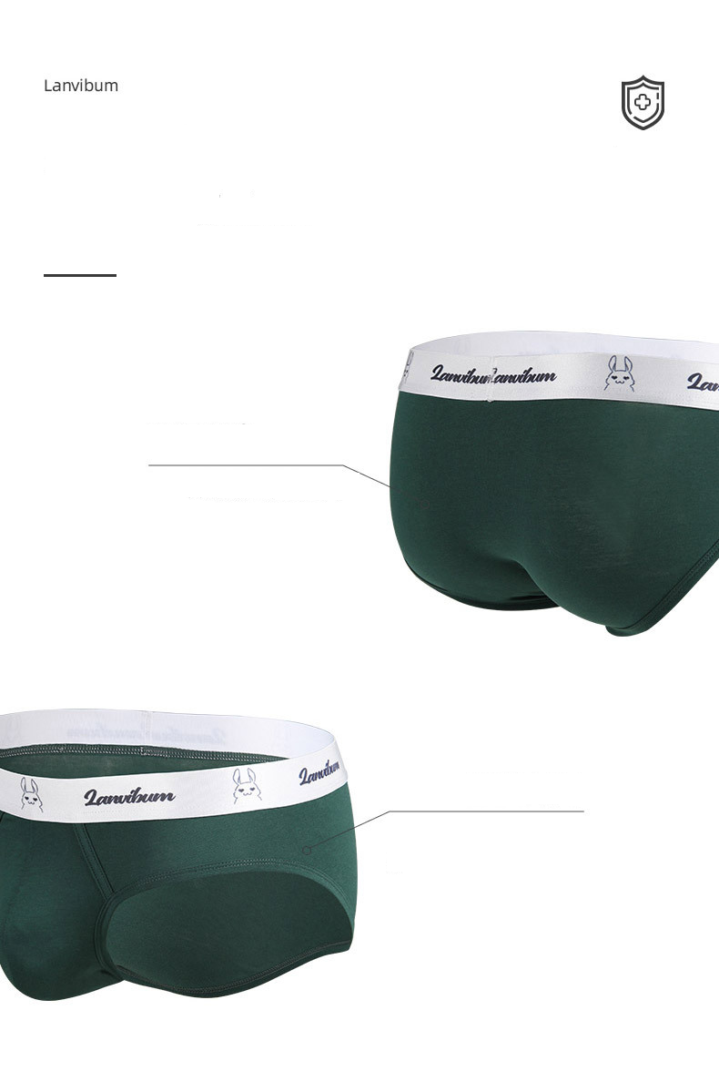 Roupa íntima e pijamas Boxer de algodão com cintura média e antibacteriano_voghion.com