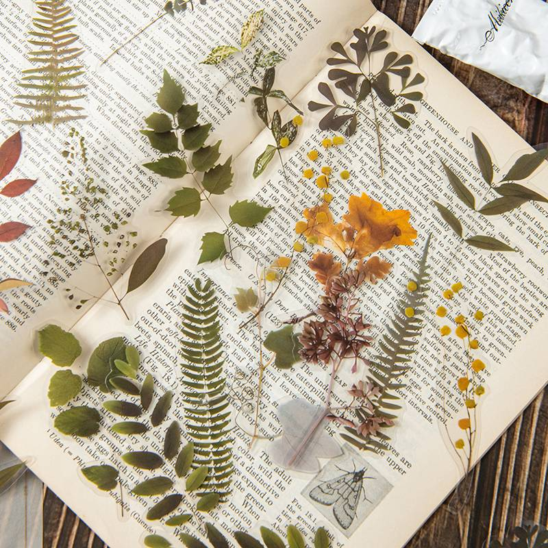 40 st/4-pack PET-dekorativa dagboksklistermärken med rosväxter - livfulla blommönster för klippböcker, dagböcker och planering_voghion.com