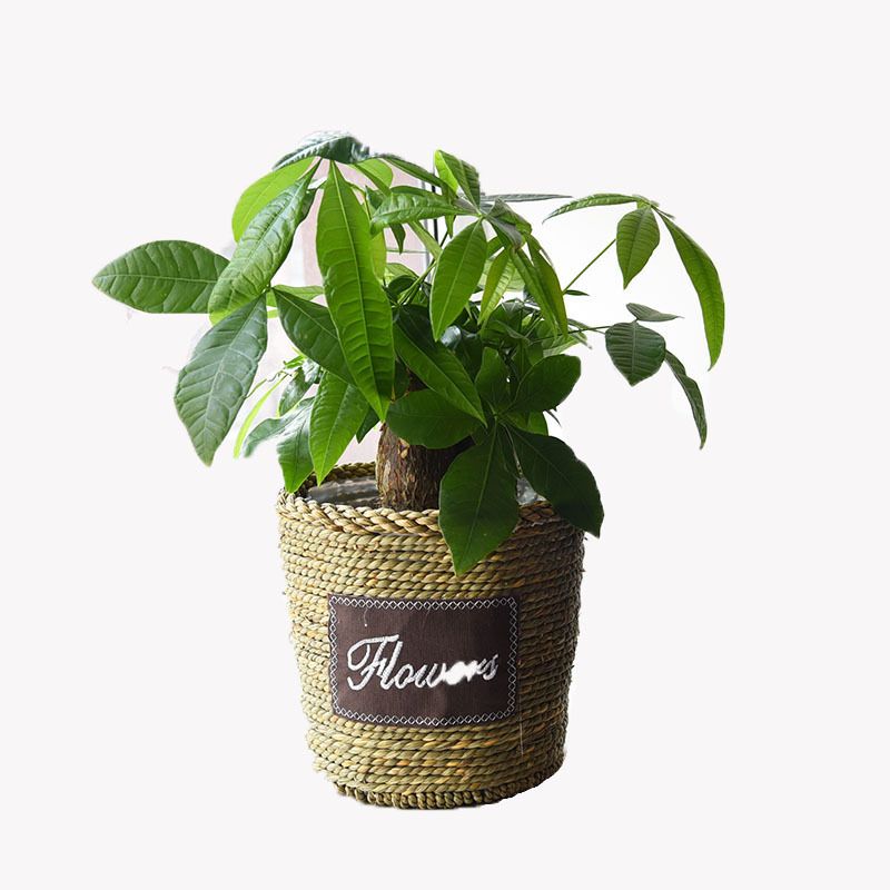 Straw Flowerpot Rattan Extra Large Flower Basket Basket Dill Weaving Bamboo Weaving Green Art Hand Weaving_voghion.com
