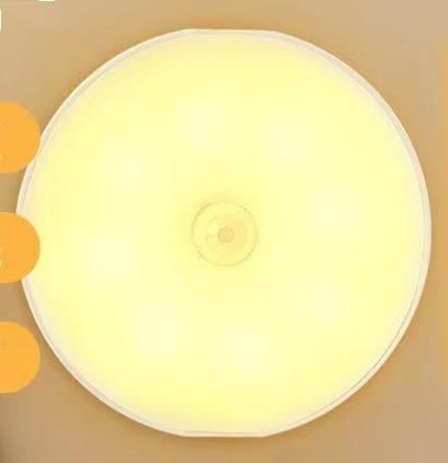 LED Smart Human Body Sensor Wardrobe Entrance Stair USB Rechargeable Night Light_voghion.com