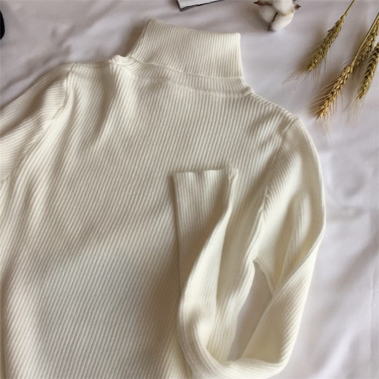 2023 herbst Winter Dicken Pullover Frauen Gestrickte Rippen Pullover Pullover Langarm-rollkragenpullover Schlank Jumper Weiche Warme Pull_voghion.com